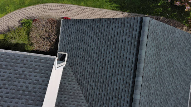 Best Roof Maintenance and Cleaning  in Russell Springs, KY